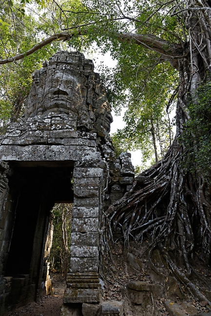 Ta Phrom et environs-012